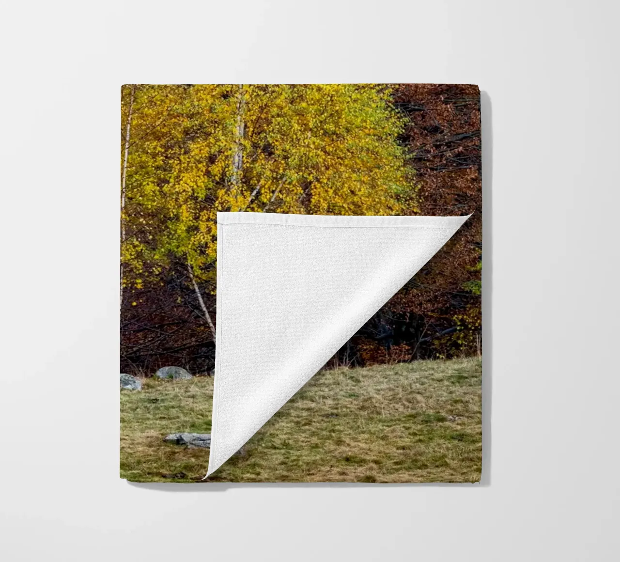 Colourful trees in a forest on a mountain telo mare da anderm