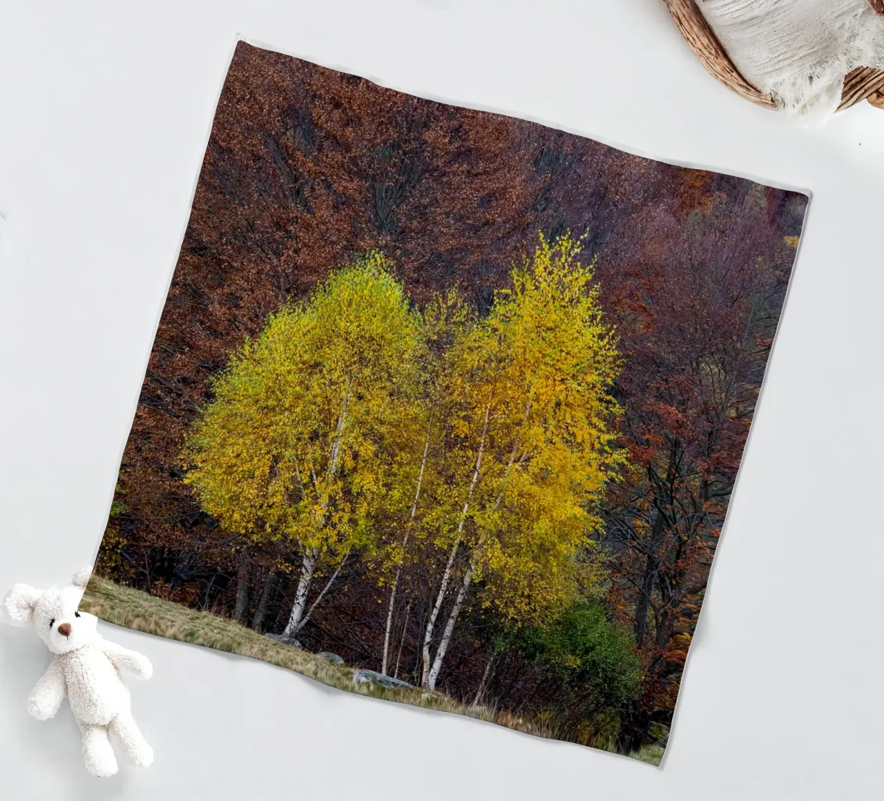 Colourful trees in a forest on a mountain coperta in pile da anderm