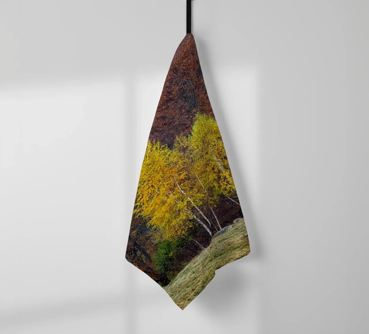 Colourful trees in a forest on a mountain torchon de anderm