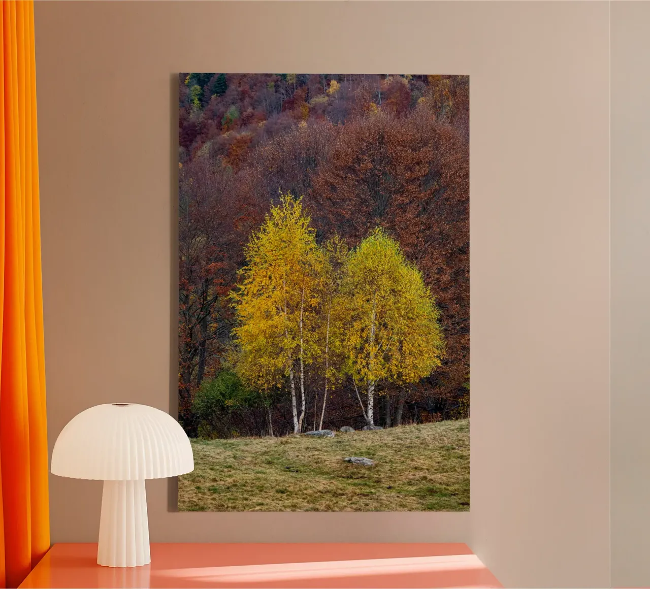 Colourful trees in a forest on a mountain tela da anderm