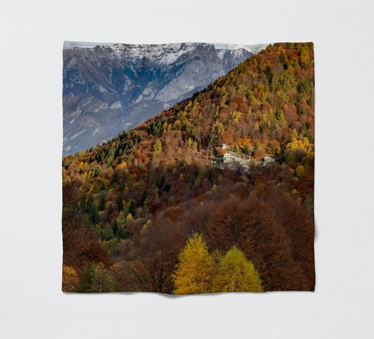 Colourful trees in a forest on a mountain coperta in pile da anderm