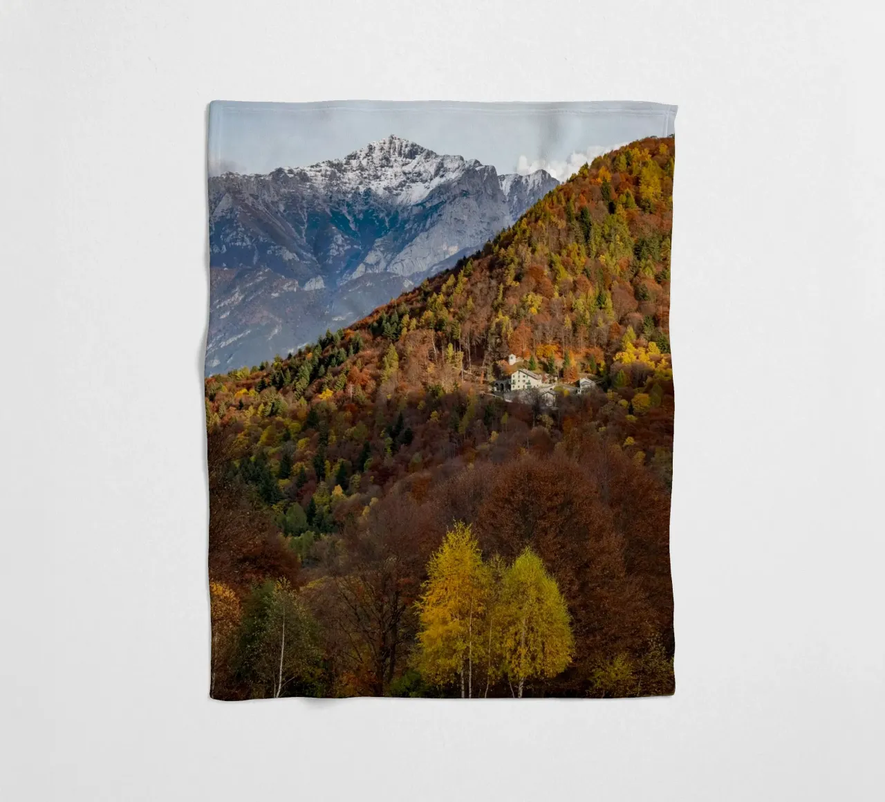 Colourful trees in a forest on a mountain coperta in pile da anderm