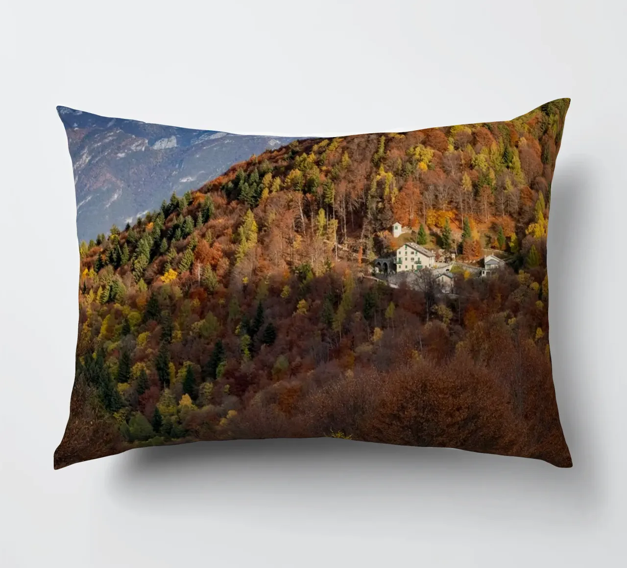 Colourful trees in a forest on a mountain cuscino da anderm