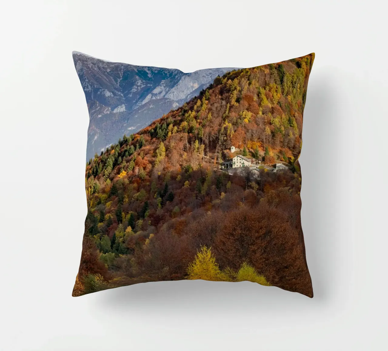 Colourful trees in a forest on a mountain cuscino da anderm