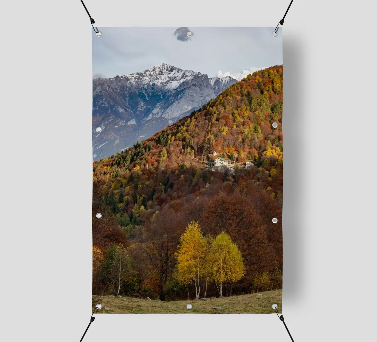 Colourful trees in a forest on a mountain telo in pvc da anderm