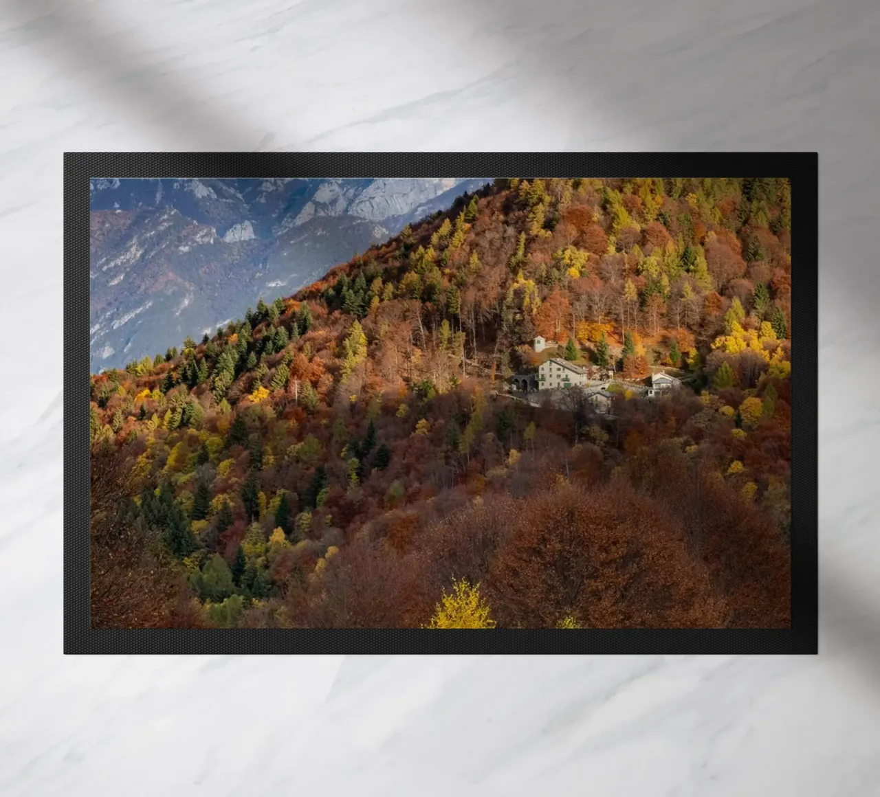 Colourful trees in a forest on a mountain zerbino da anderm