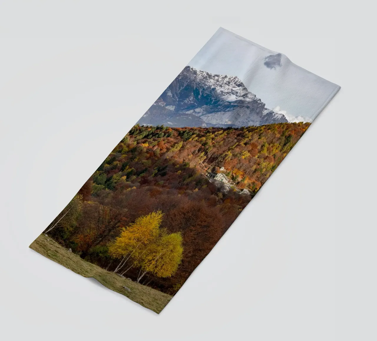 Colourful trees in a forest on a mountain telo mare da anderm