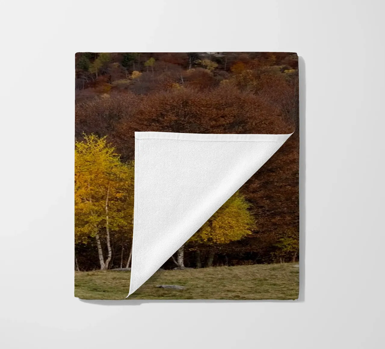 Colourful trees in a forest on a mountain telo mare da anderm