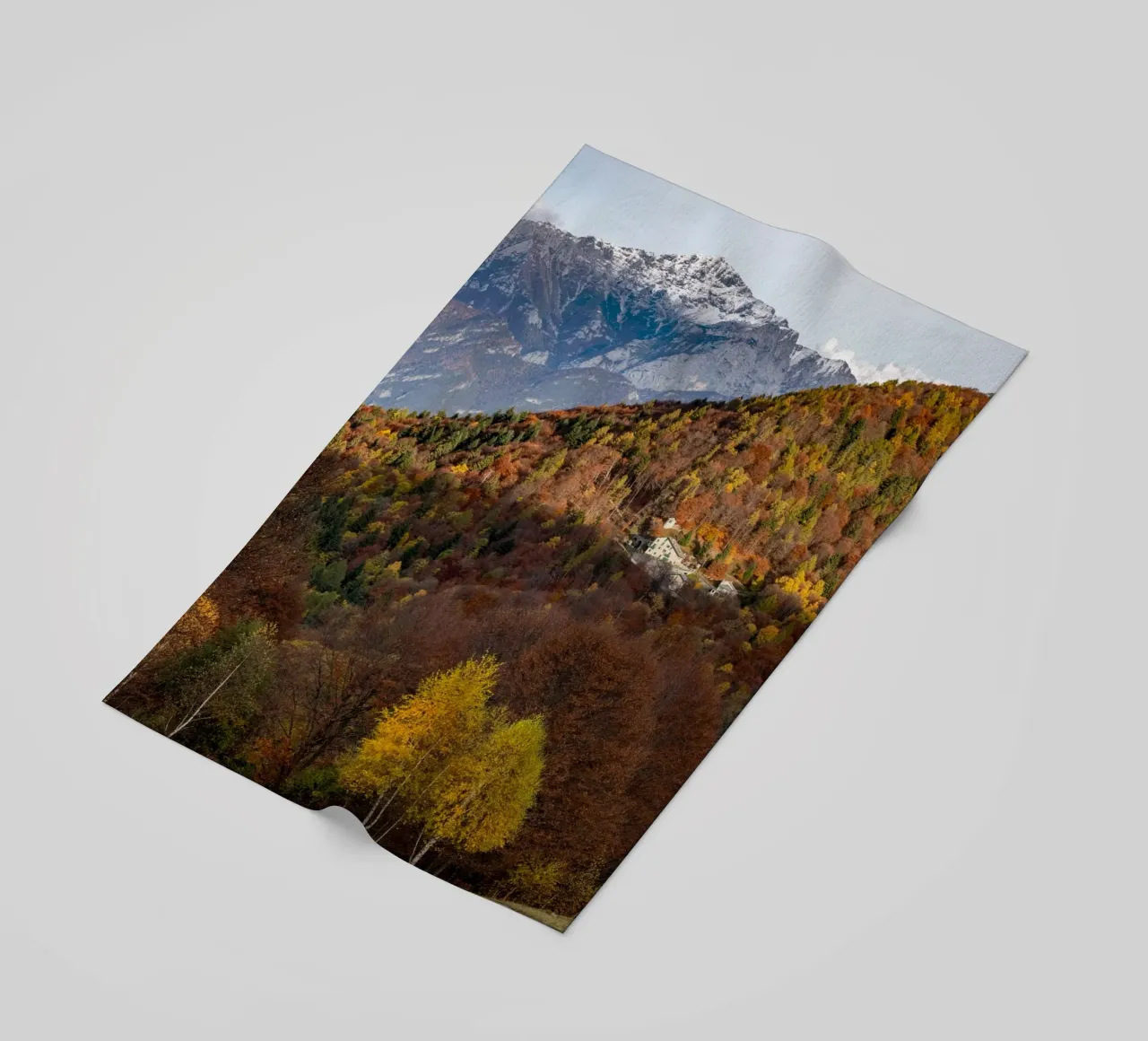 Colourful trees in a forest on a mountain telo mare da anderm