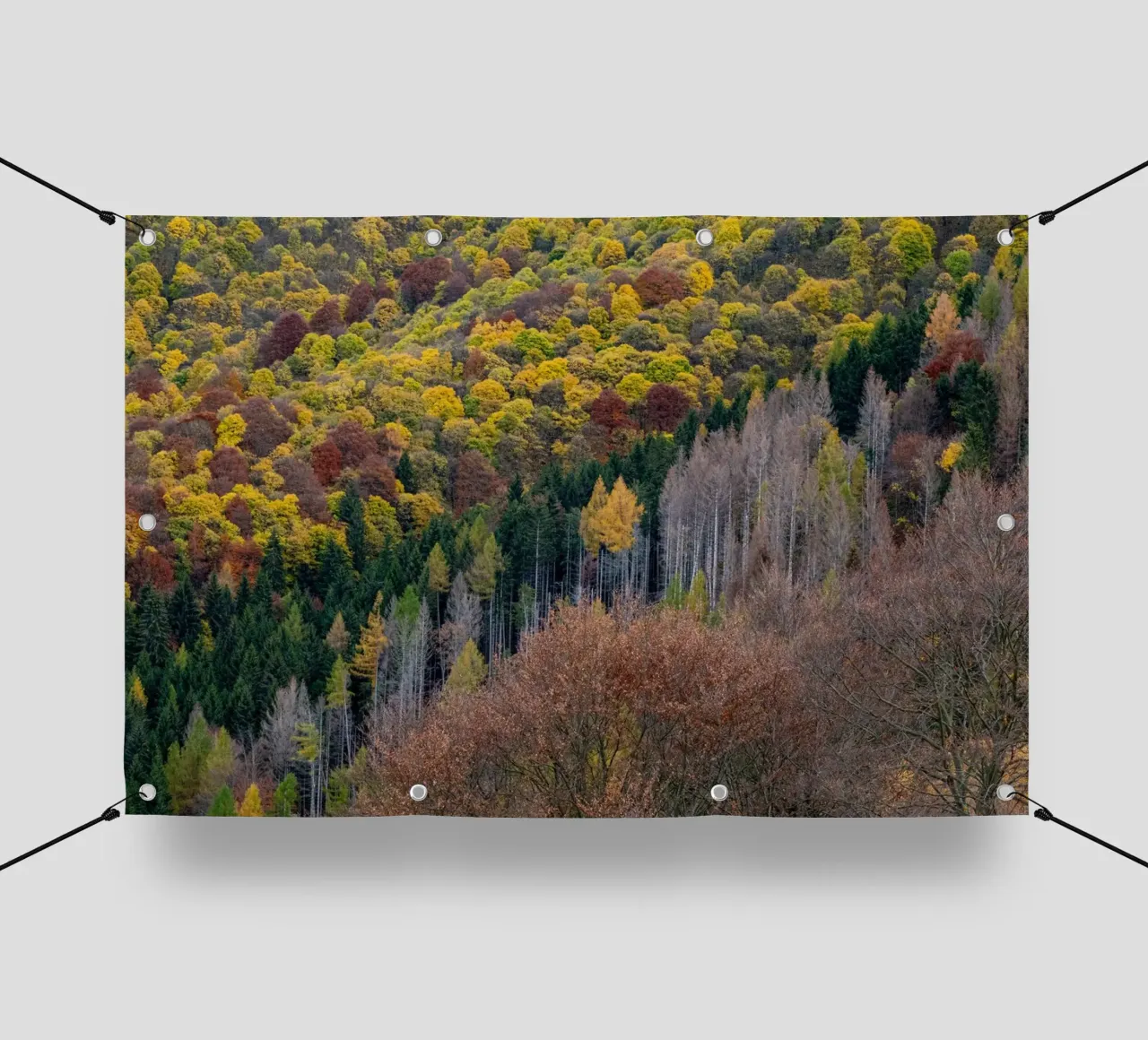 Colourful trees in a forest on a mountain telo in pvc da anderm