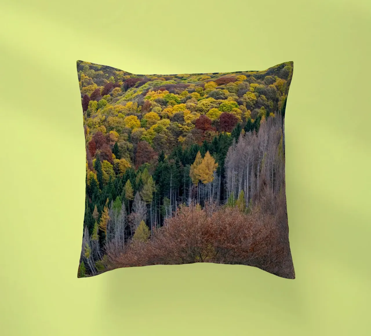 Colourful trees in a forest on a mountain cuscino da anderm