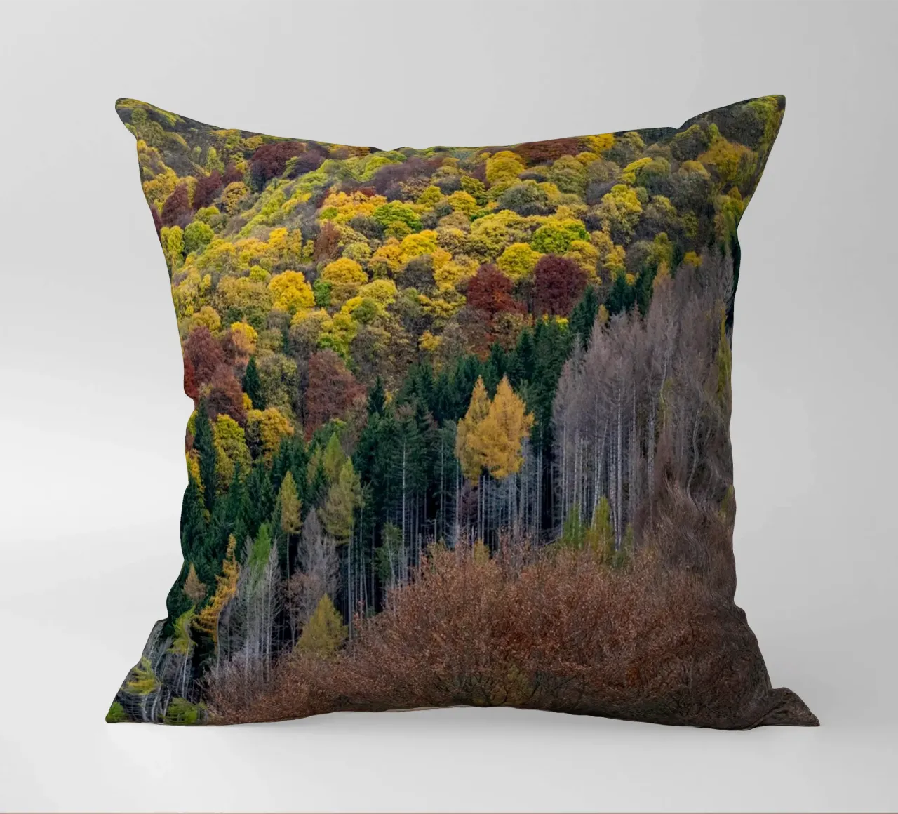 Colourful trees in a forest on a mountain cuscino da anderm