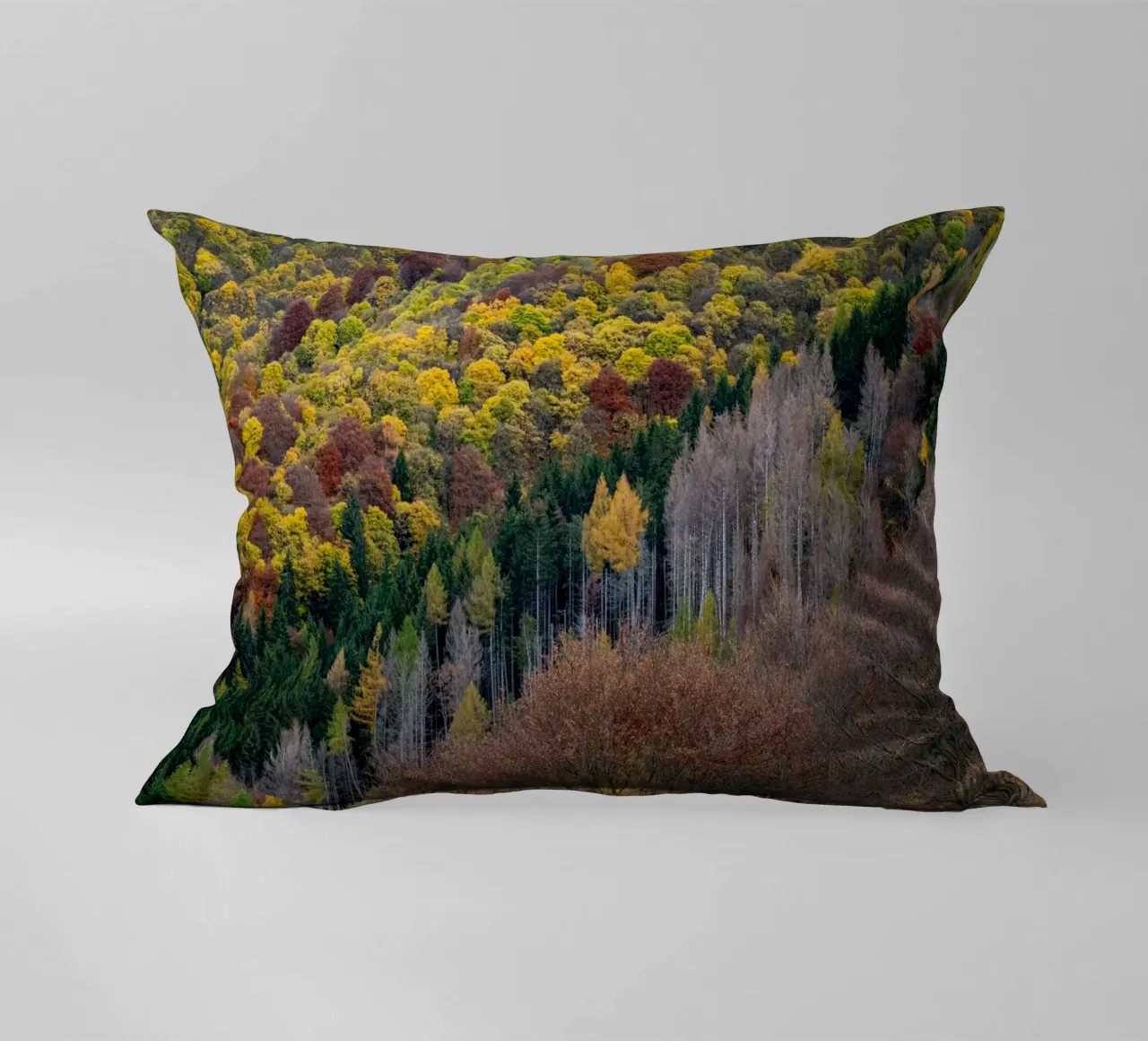 Colourful trees in a forest on a mountain cuscino da anderm