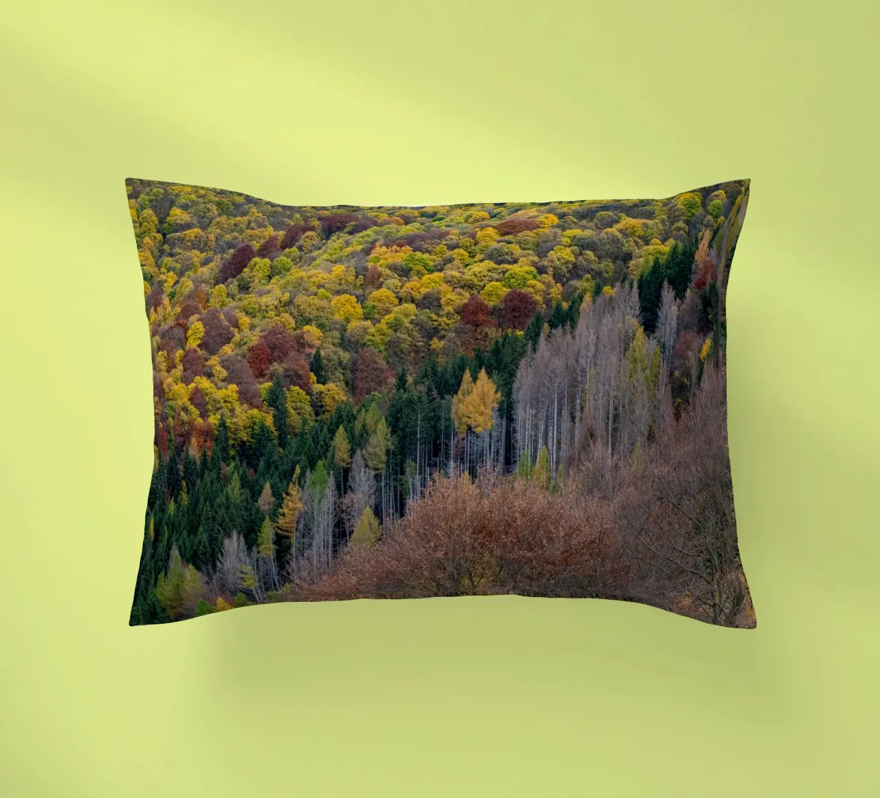 Colourful trees in a forest on a mountain cuscino da anderm