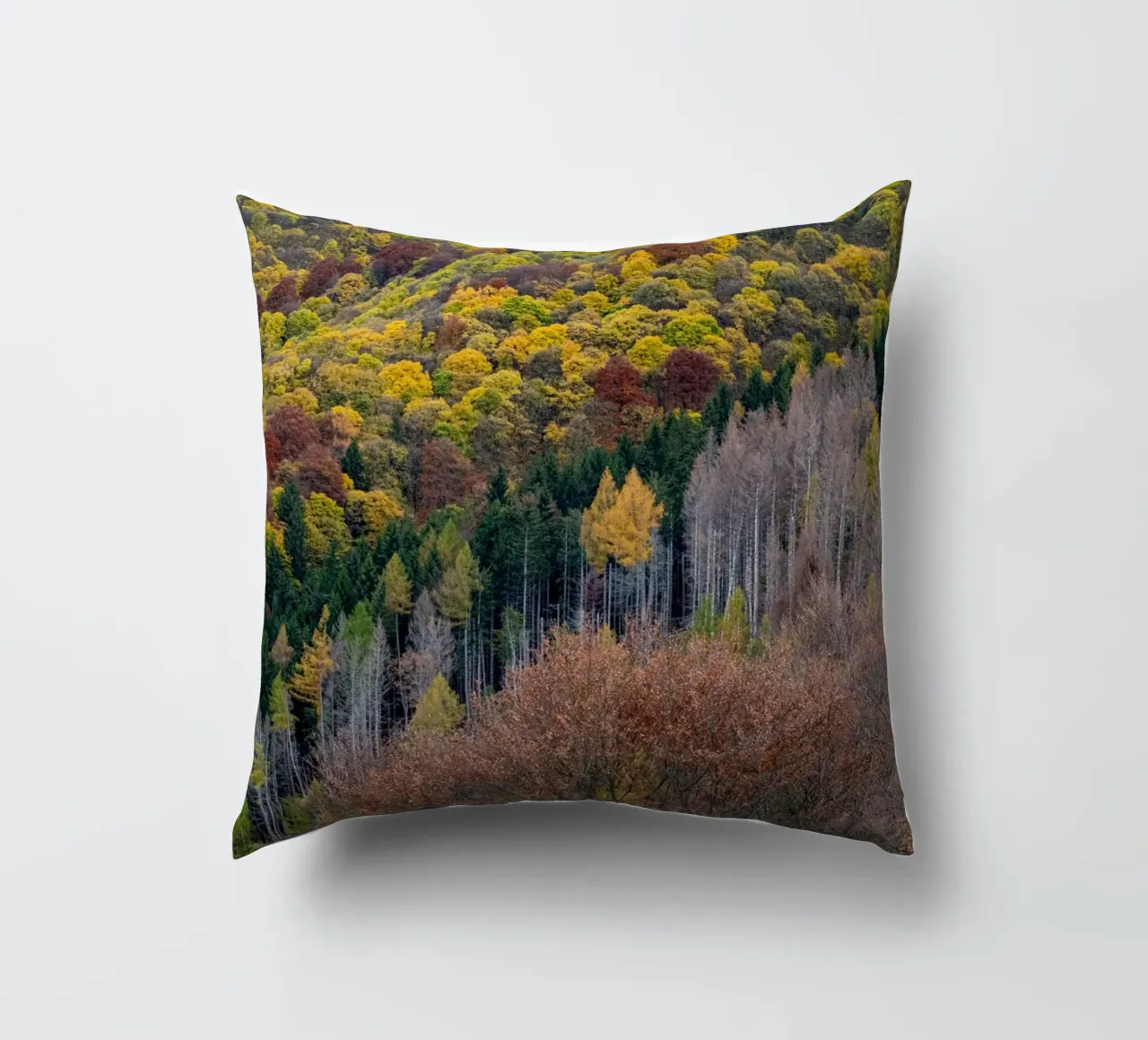 Colourful trees in a forest on a mountain cuscino da anderm