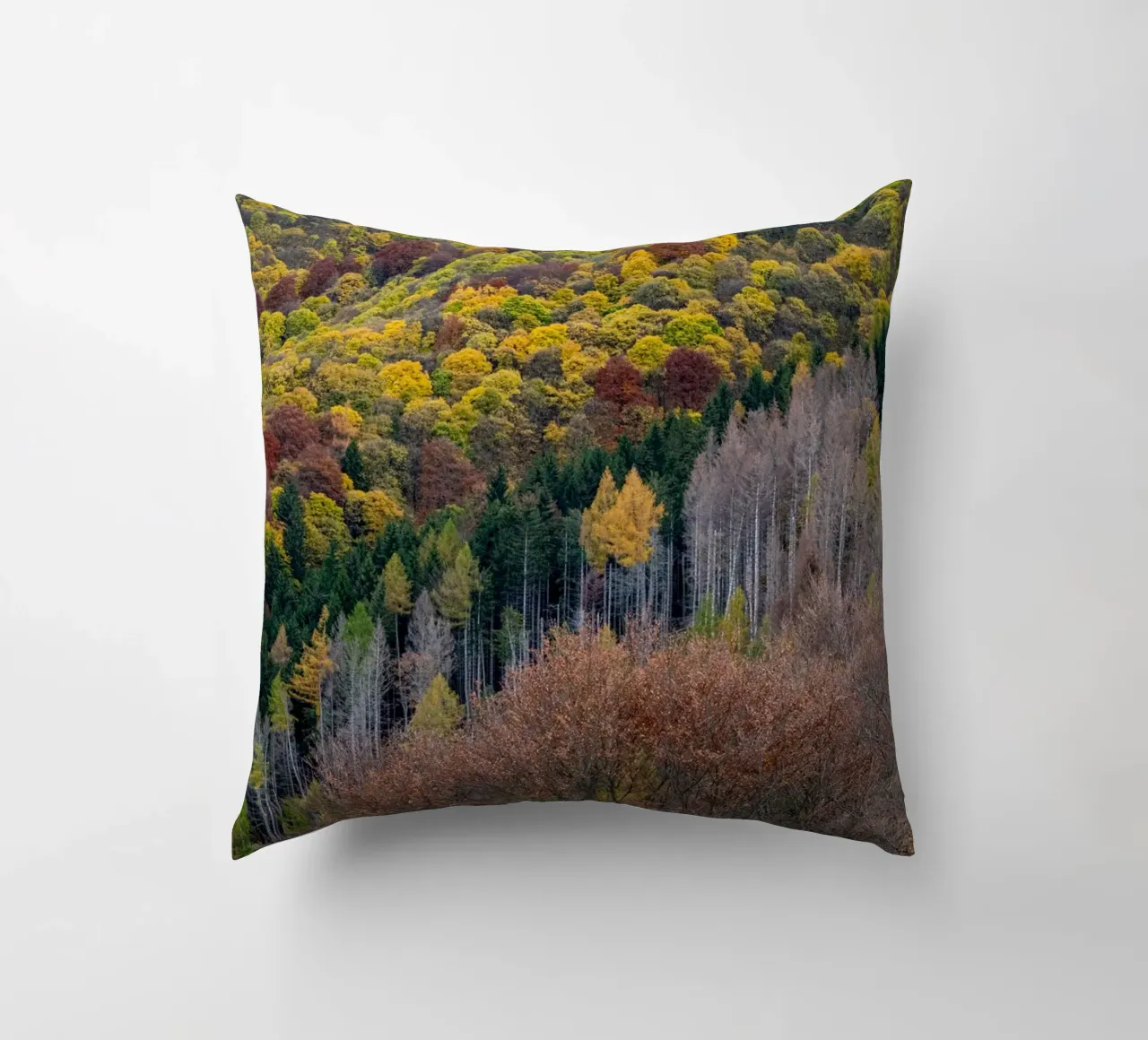 Colourful trees in a forest on a mountain cuscino da anderm