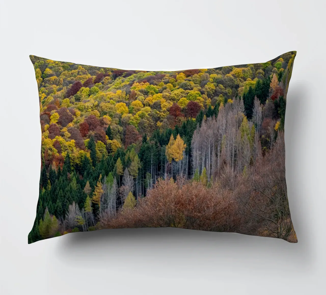 Colourful trees in a forest on a mountain cuscino da anderm