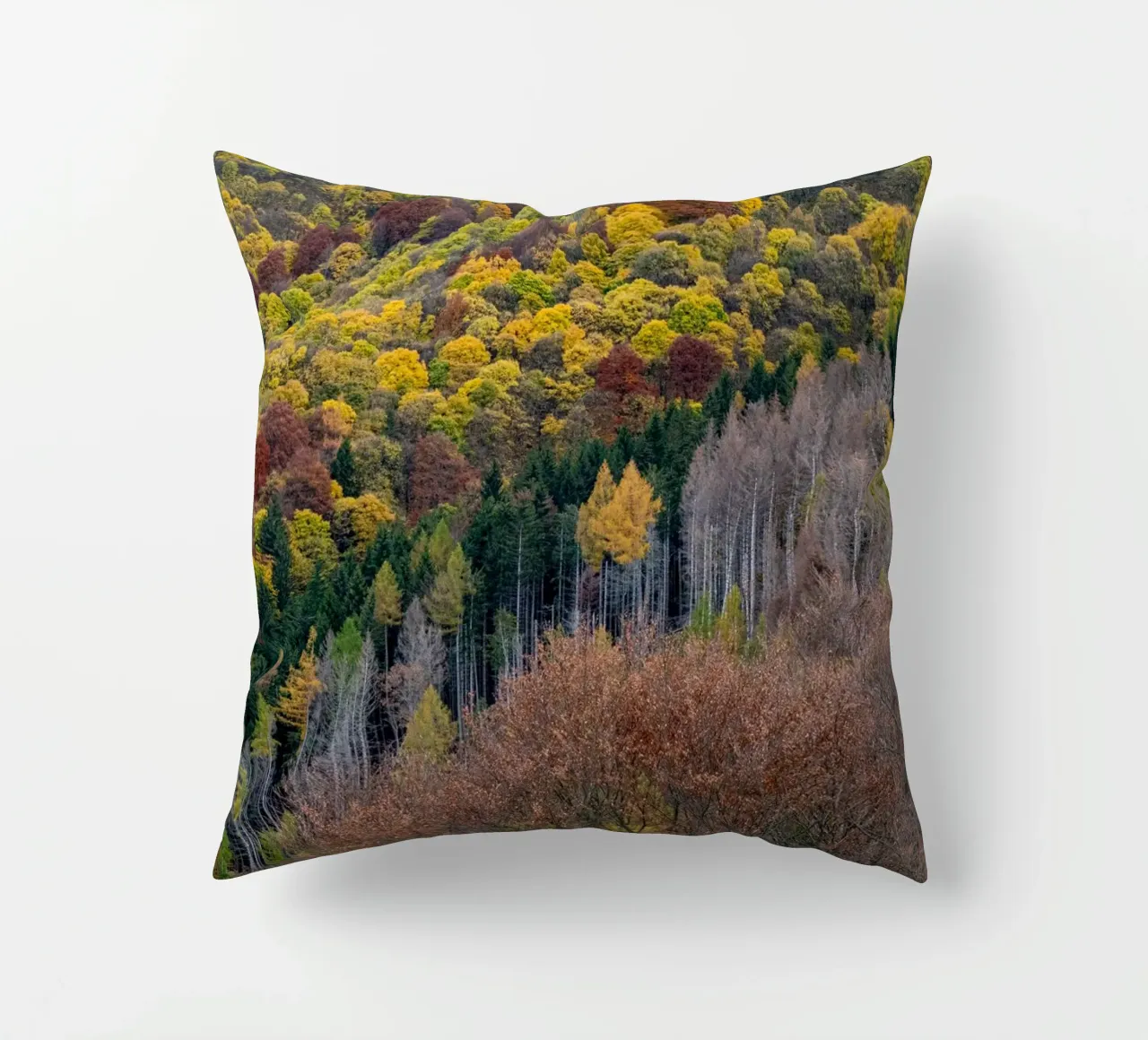 Colourful trees in a forest on a mountain cuscino da anderm