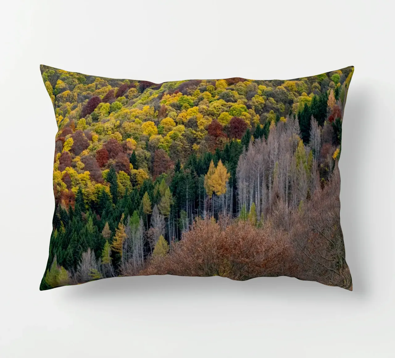 Colourful trees in a forest on a mountain cuscino da anderm