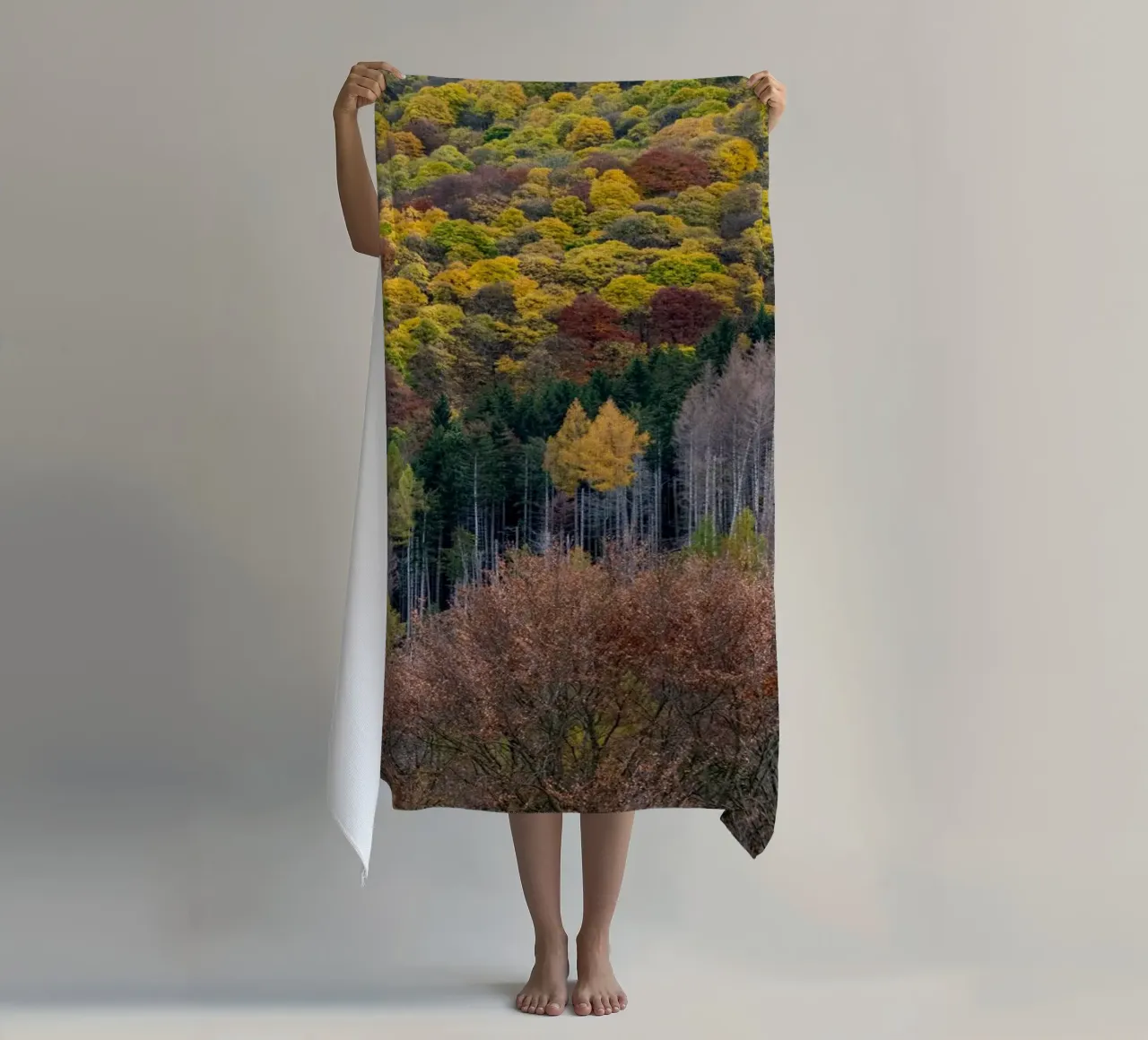 Colourful trees in a forest on a mountain telo mare da anderm