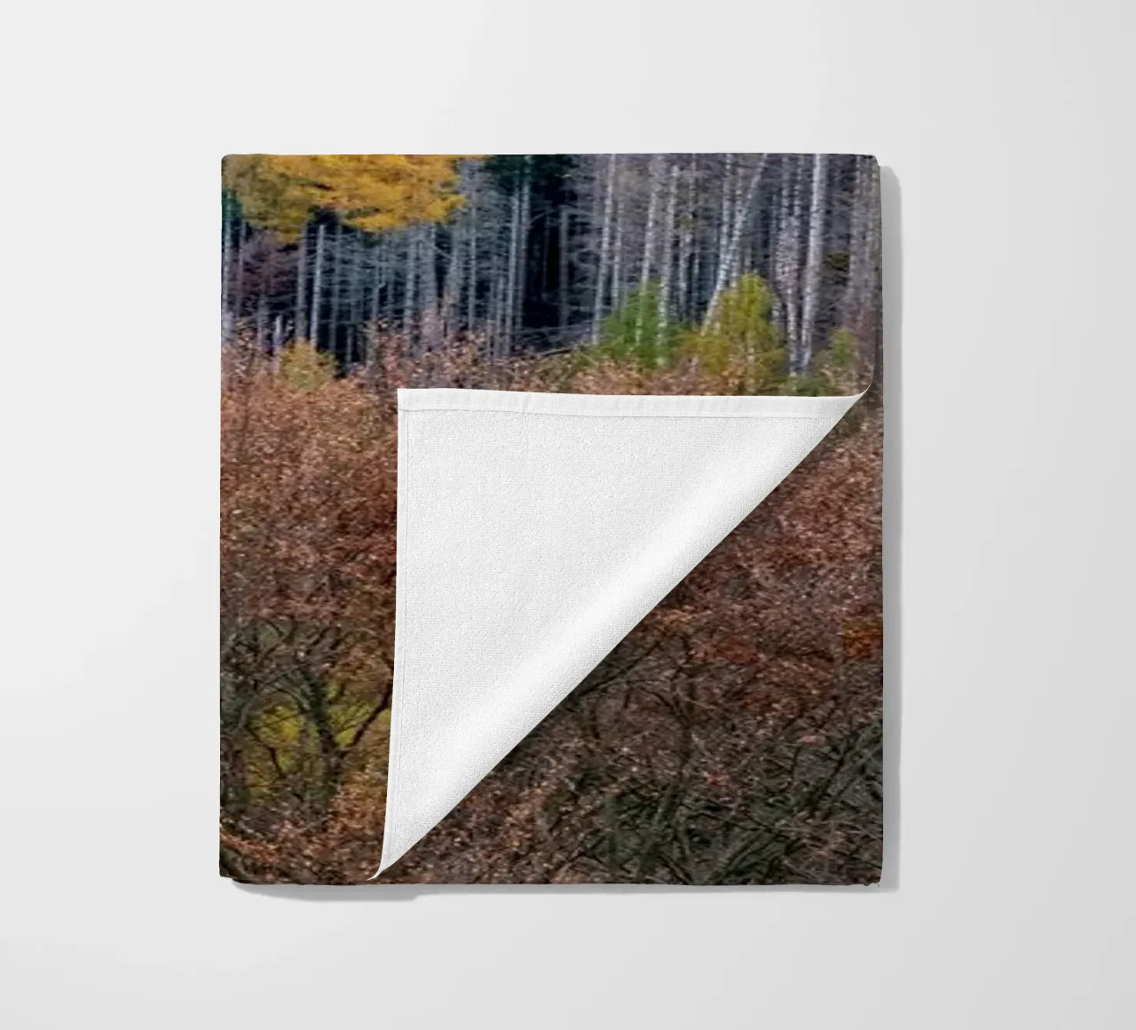 Colourful trees in a forest on a mountain telo mare da anderm