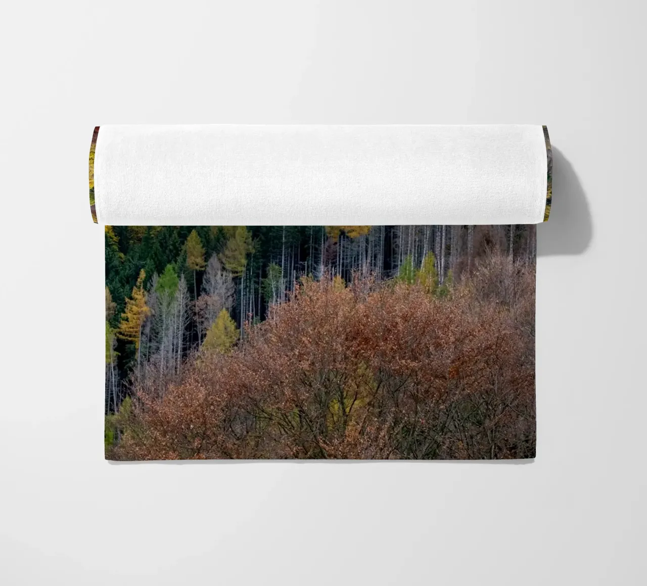 Colourful trees in a forest on a mountain telo mare da anderm