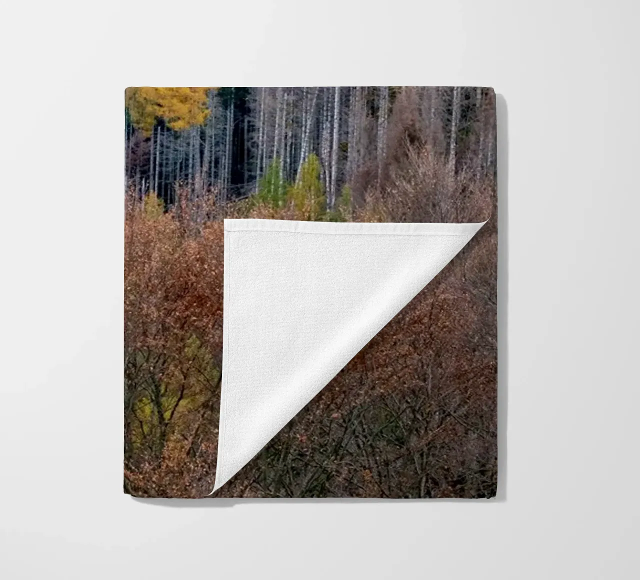 Colourful trees in a forest on a mountain telo mare da anderm