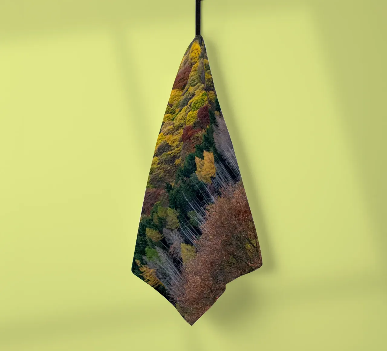Colourful trees in a forest on a mountain canovaccio da cucina da anderm