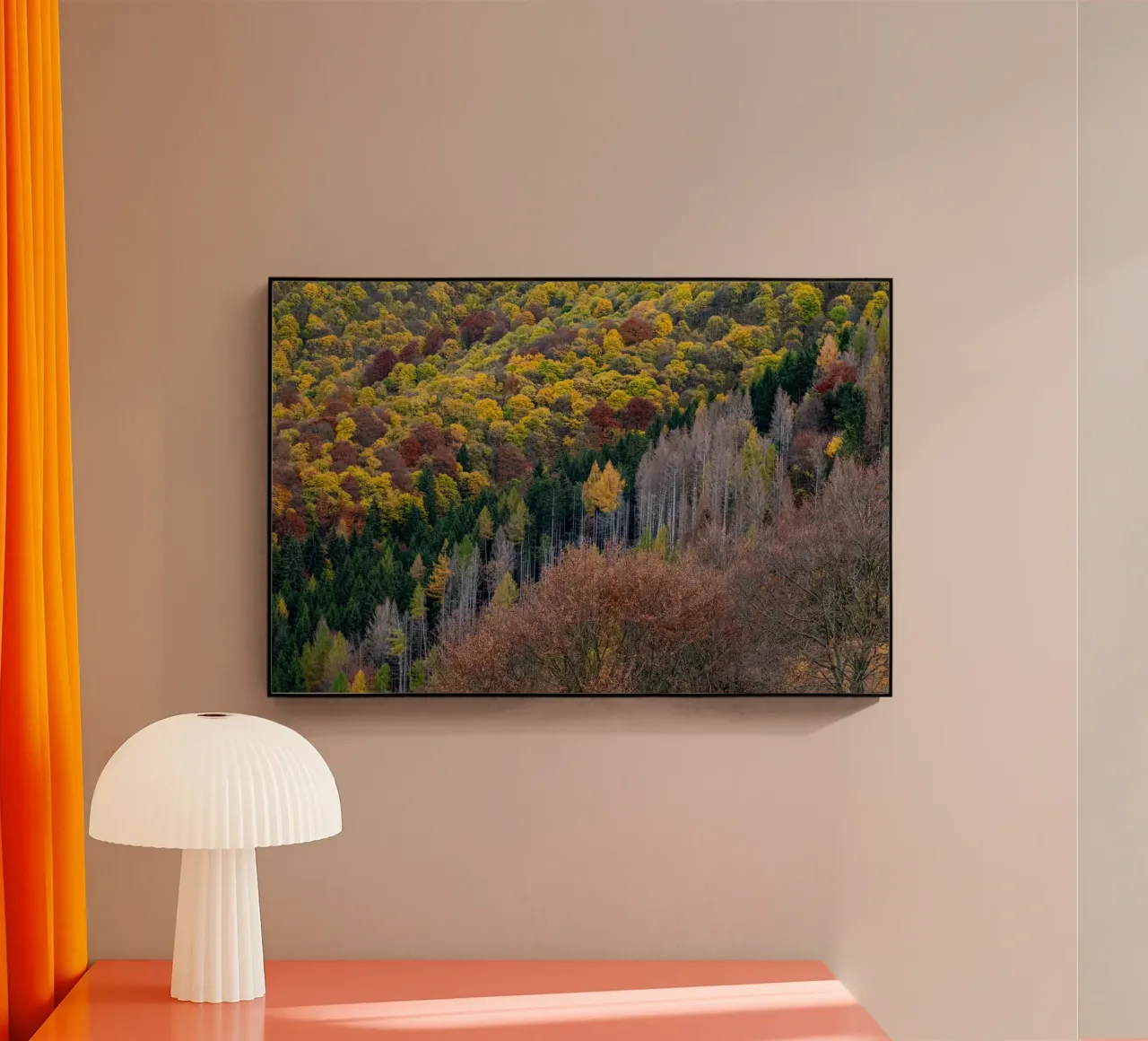 Colourful trees in a forest on a mountain plexiglass da anderm