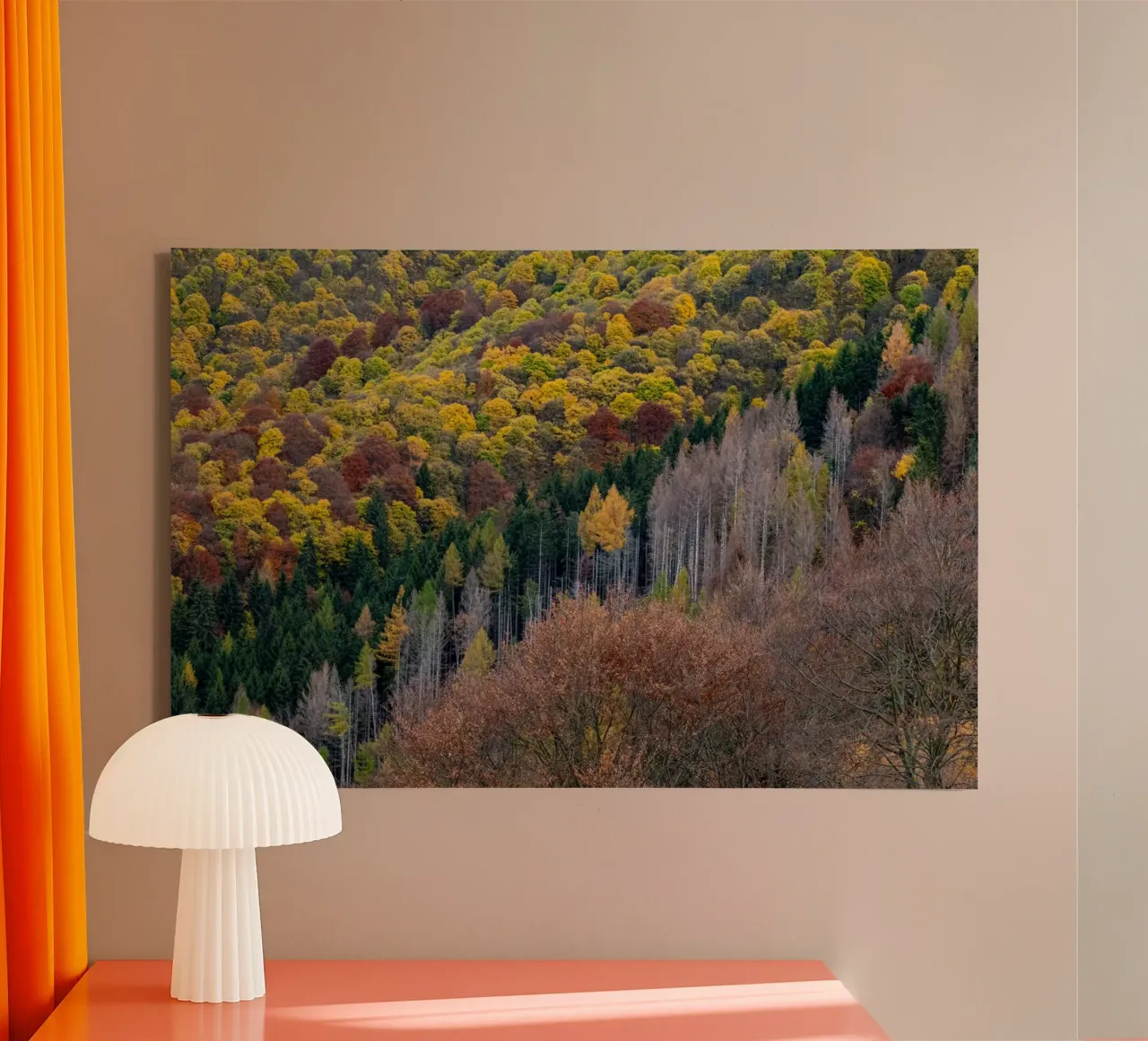Colourful trees in a forest on a mountain tela da anderm