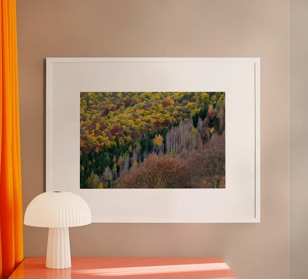 Colourful trees in a forest on a mountain poster da anderm