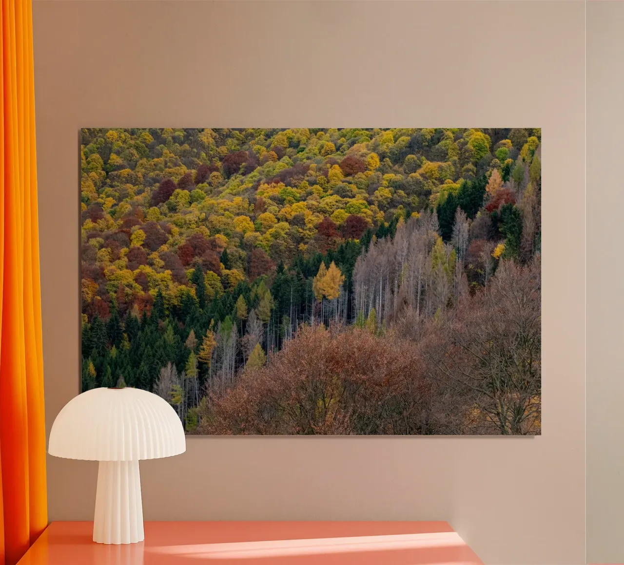 Colourful trees in a forest on a mountain poster da anderm
