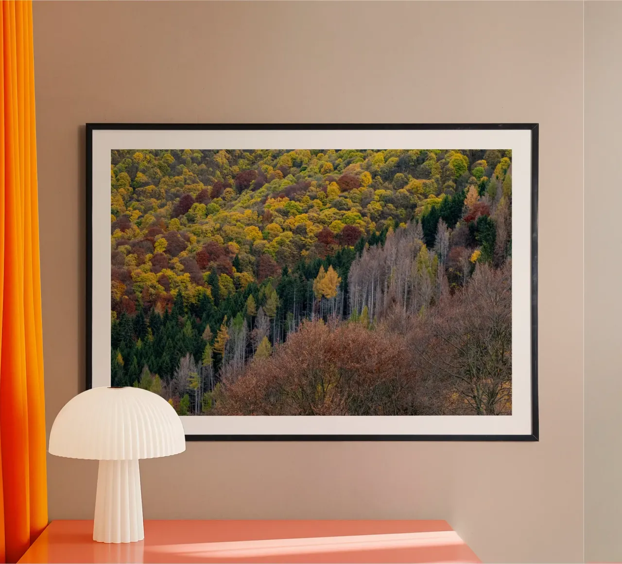 Colourful trees in a forest on a mountain poster da anderm