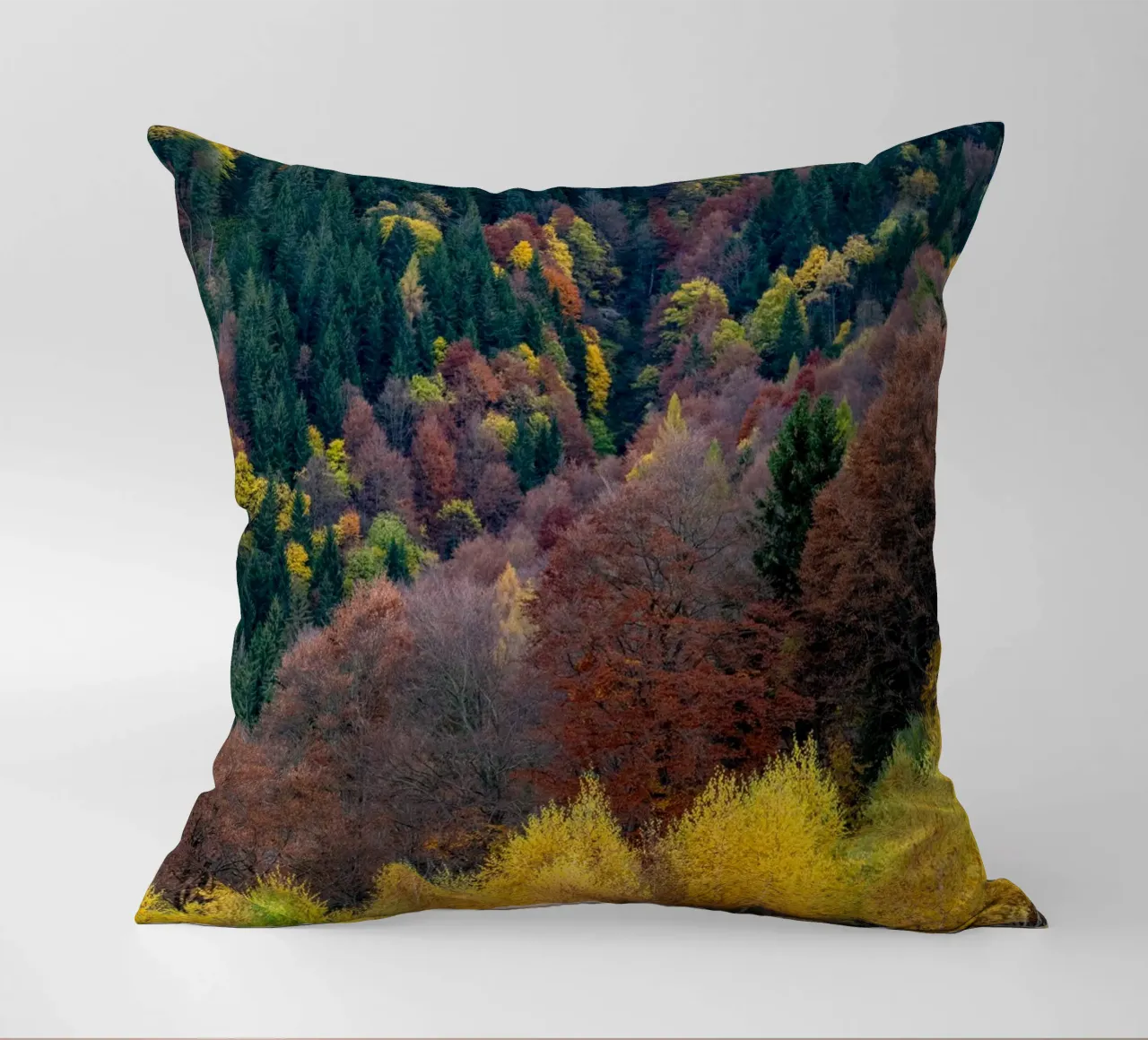 Colourful trees in a forest on a mountain cuscino da anderm