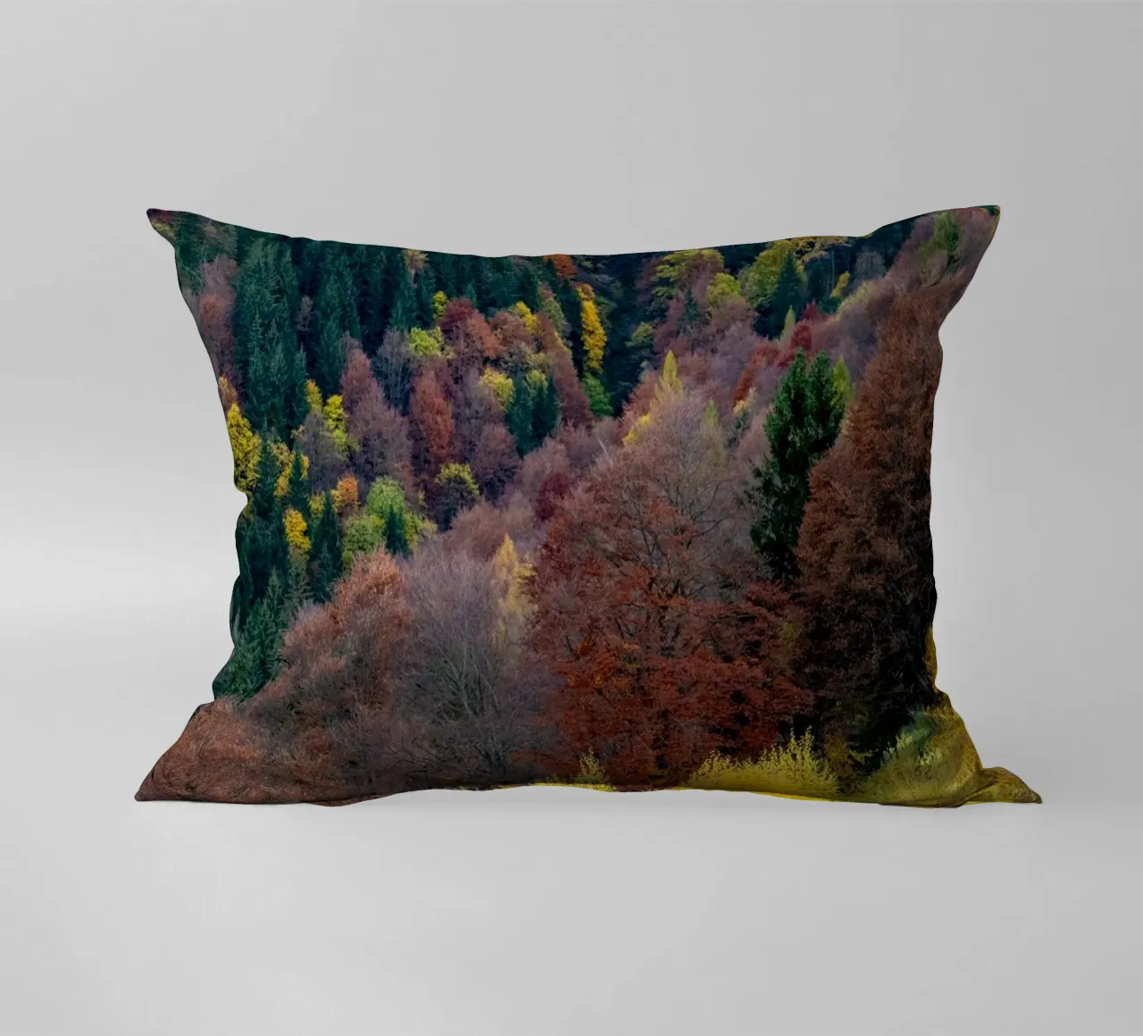 Colourful trees in a forest on a mountain cuscino da anderm