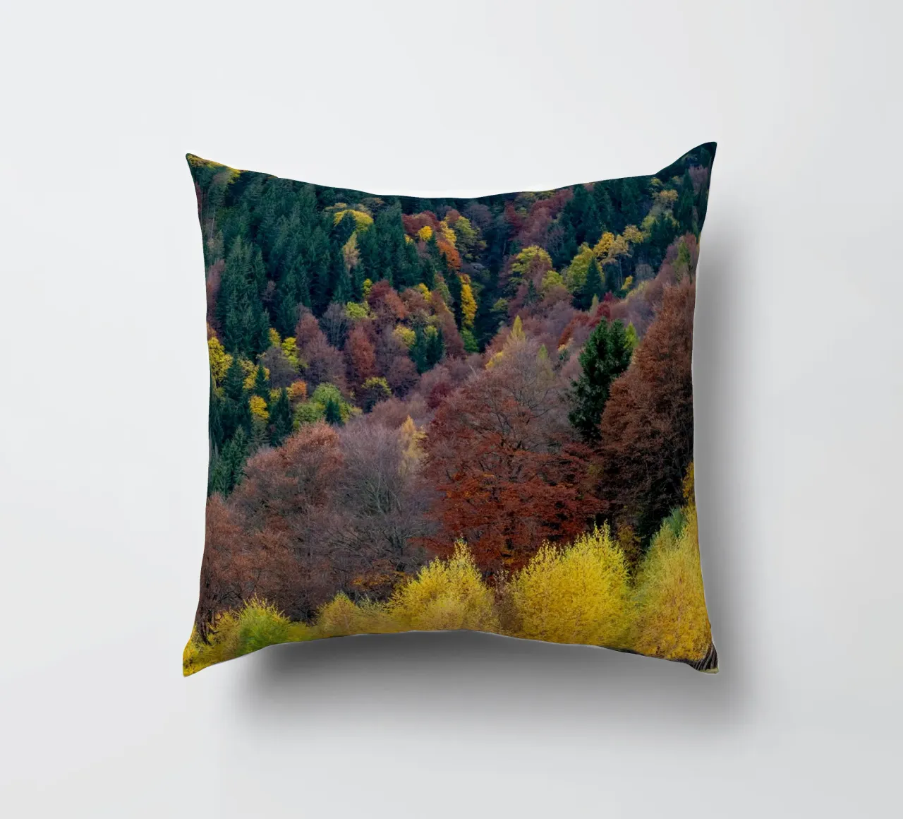 Colourful trees in a forest on a mountain cuscino da anderm