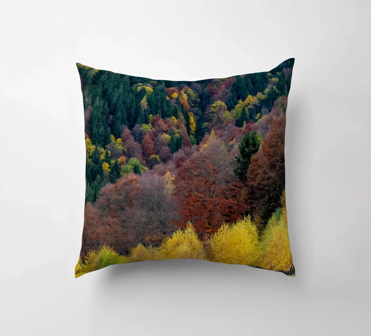 Colourful trees in a forest on a mountain cuscino da anderm