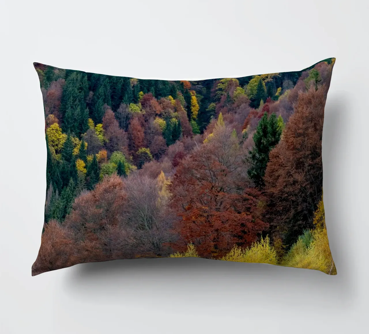 Colourful trees in a forest on a mountain cuscino da anderm