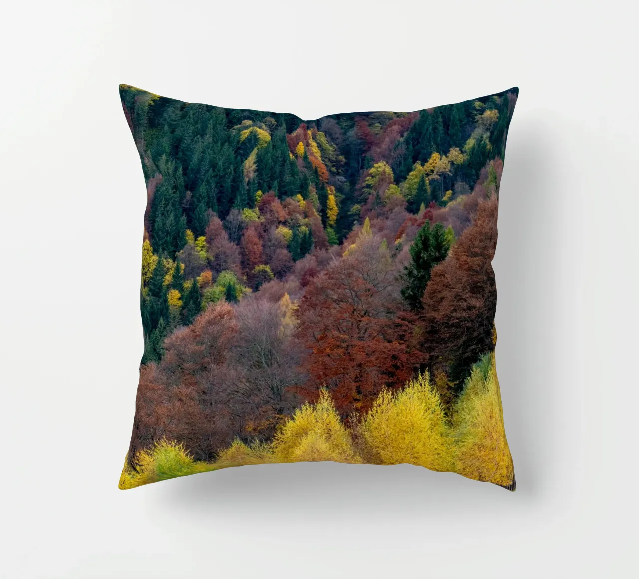 Colourful trees in a forest on a mountain cuscino da anderm