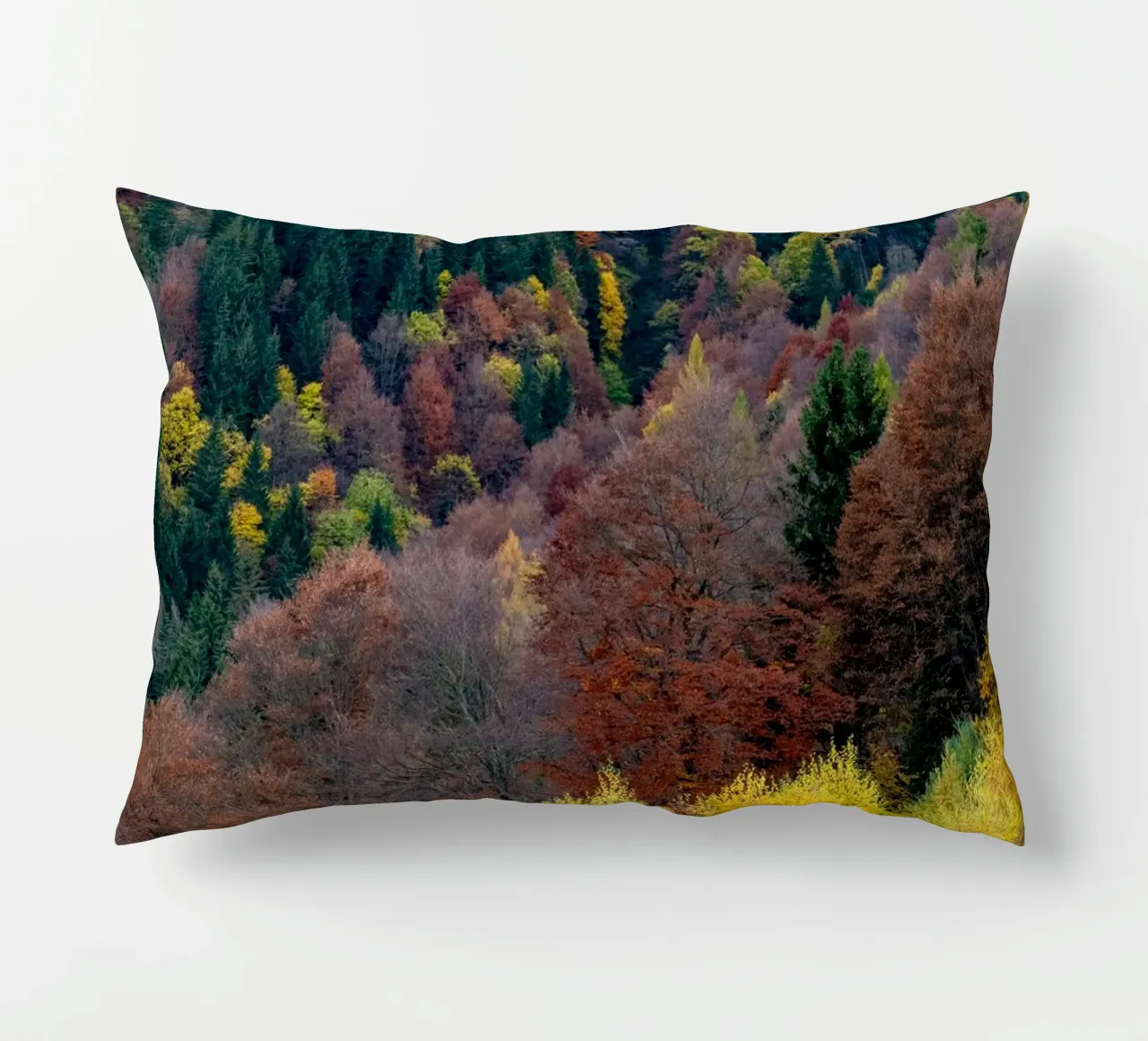 Colourful trees in a forest on a mountain cuscino da anderm