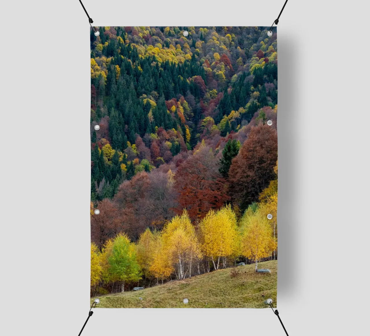 Colourful trees in a forest on a mountain telo in pvc da anderm