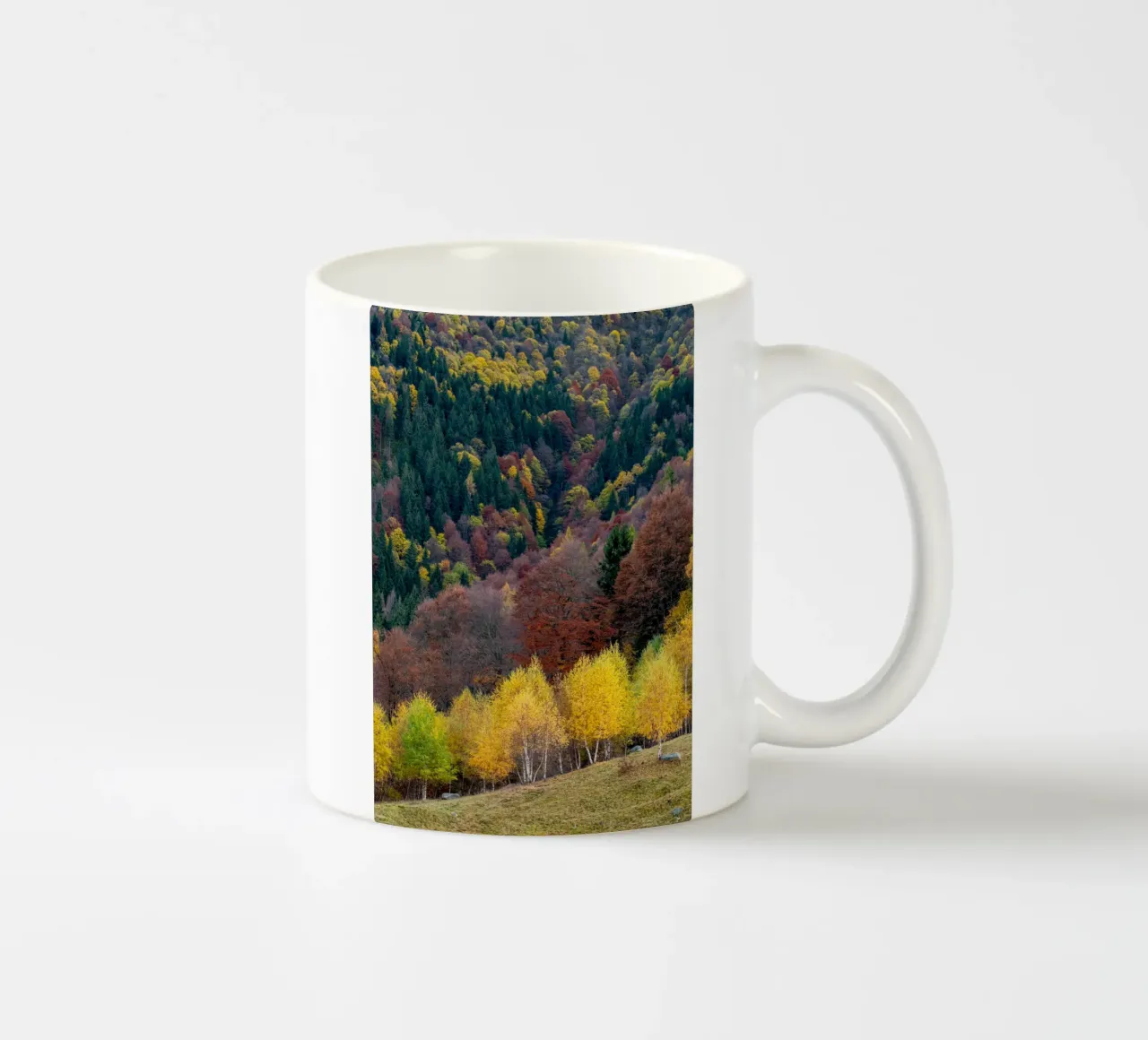 Colourful trees in a forest on a mountain tazza in ceramica da anderm
