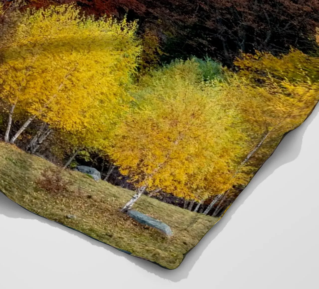 Colourful trees in a forest on a mountain coperta in pile da anderm