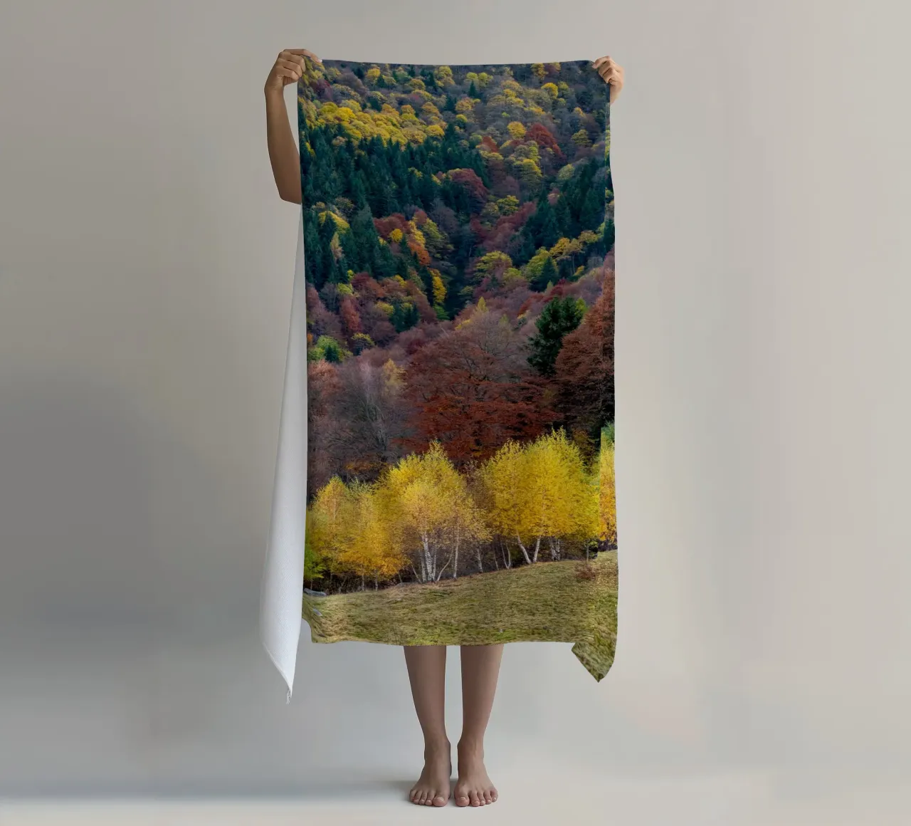 Colourful trees in a forest on a mountain telo mare da anderm