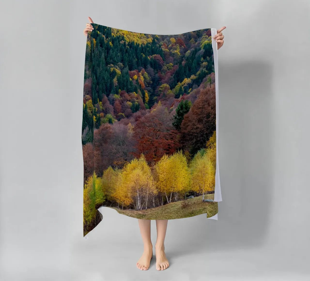 Colourful trees in a forest on a mountain telo mare da anderm