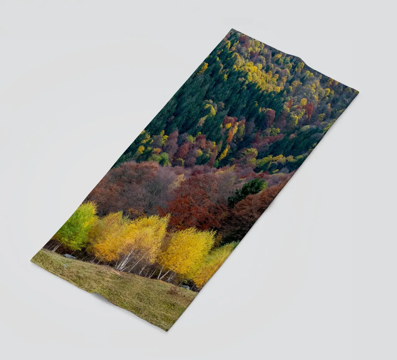 Colourful trees in a forest on a mountain telo mare da anderm