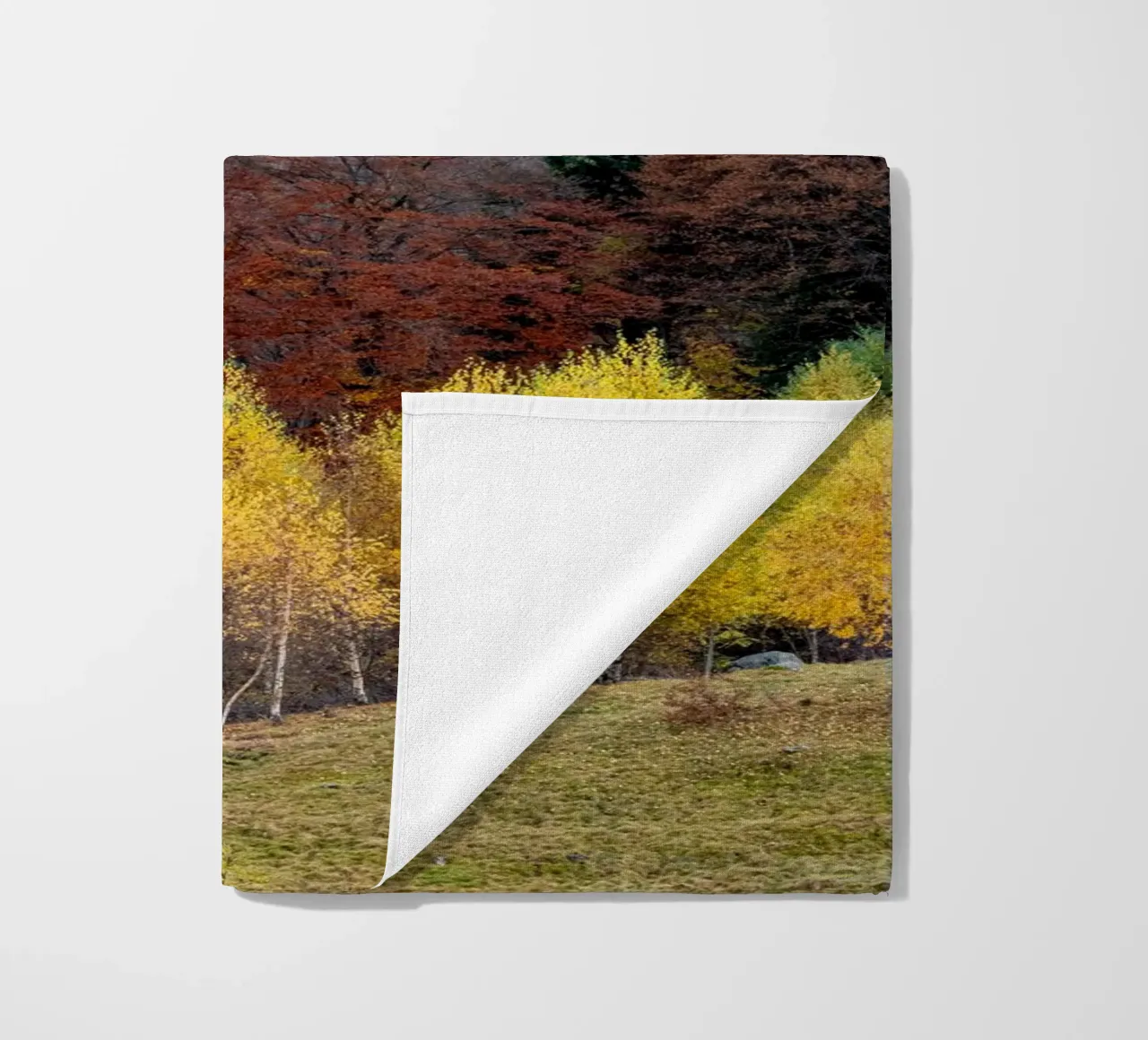 Colourful trees in a forest on a mountain telo mare da anderm