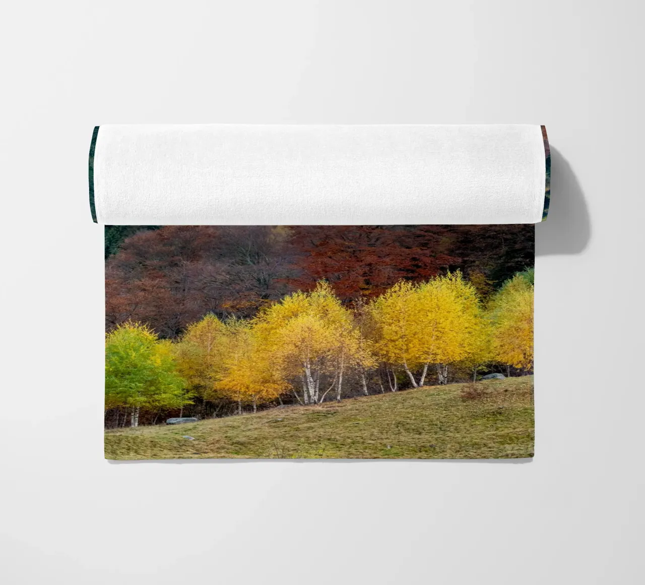 Colourful trees in a forest on a mountain telo mare da anderm