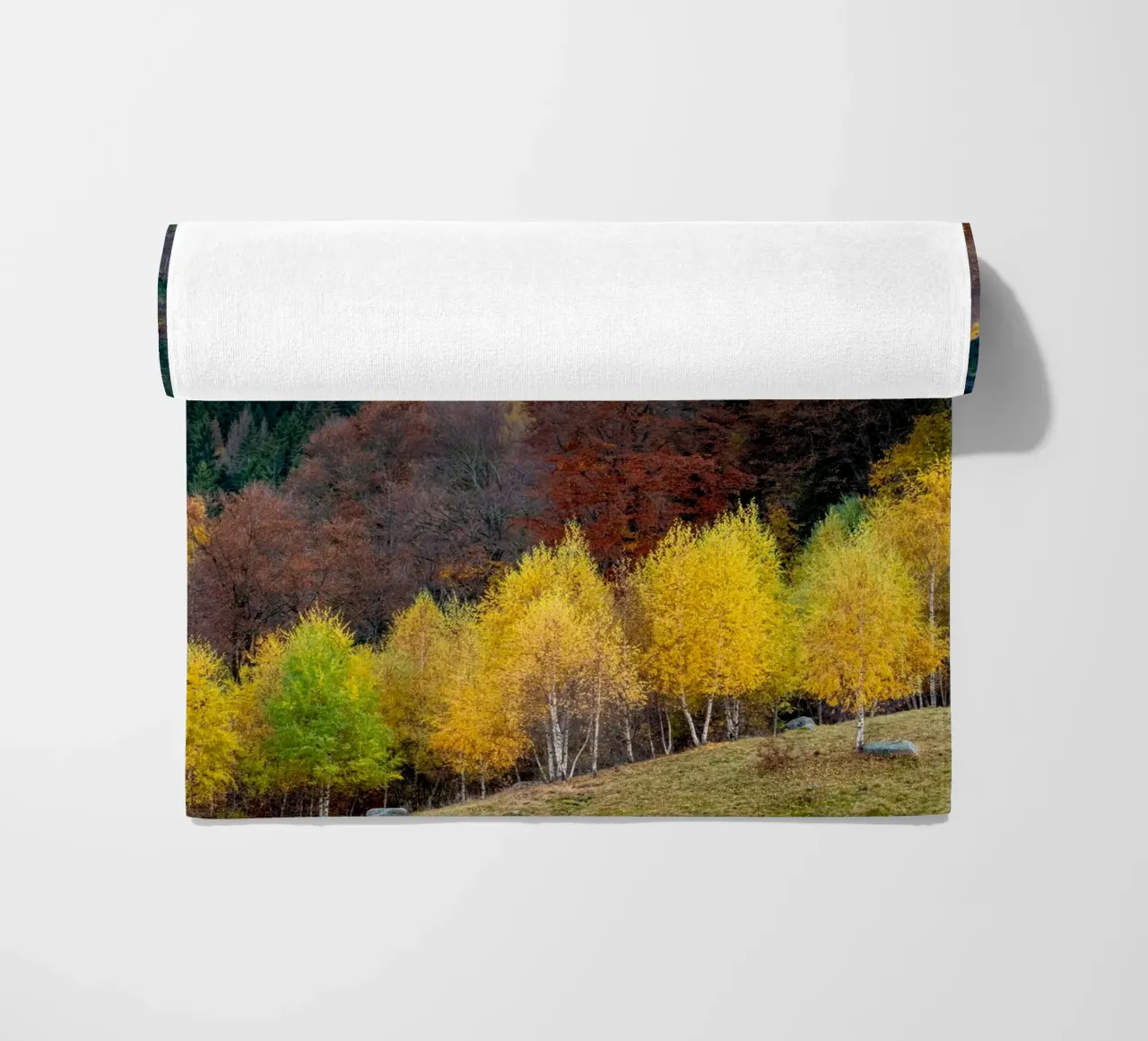 Colourful trees in a forest on a mountain telo mare da anderm