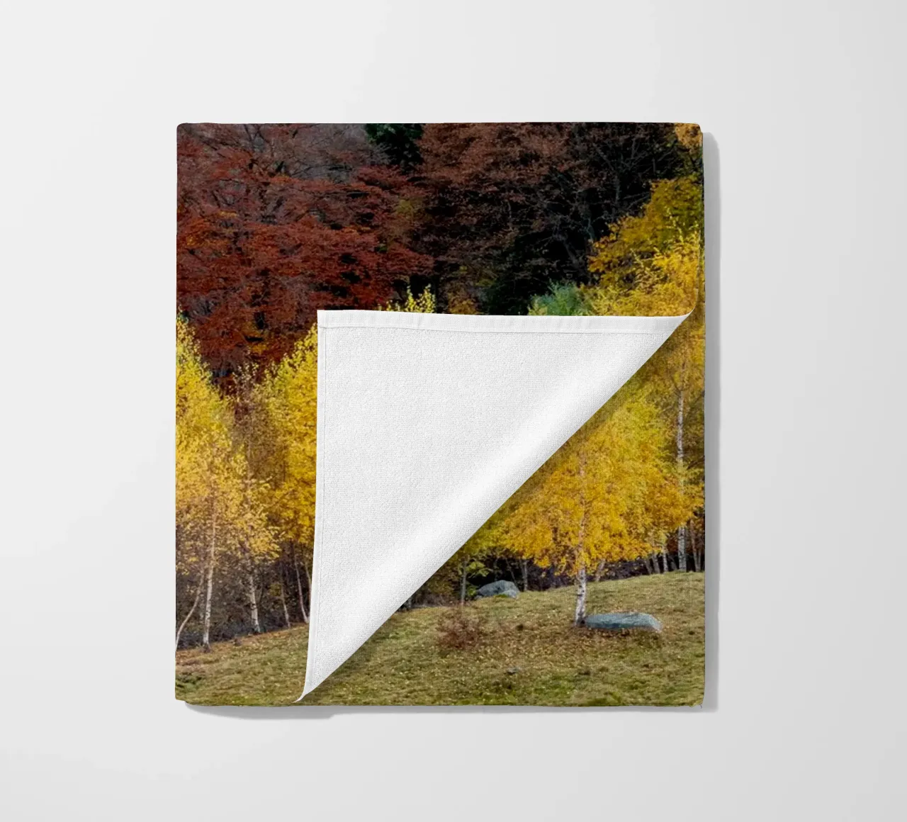 Colourful trees in a forest on a mountain telo mare da anderm